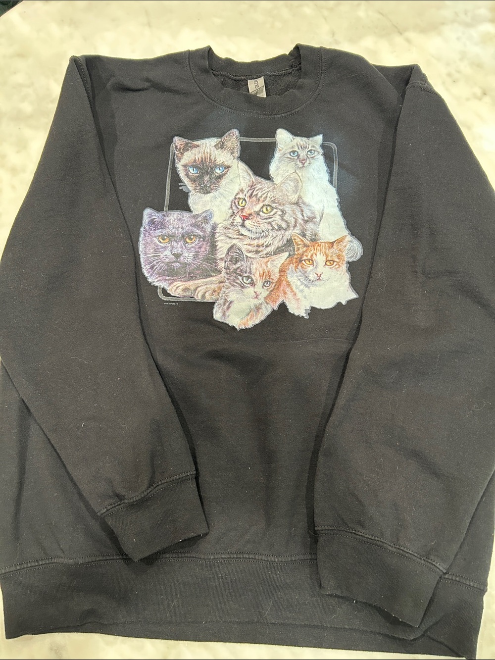 Gildan Black Sweatshirt with Vintage Heat Transfer Multicat Graphic Iron-On
